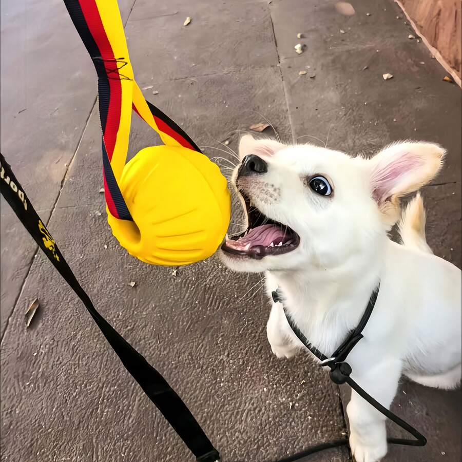 1个耐用狗狗玩具球，带绳宠物咀嚼训练球，适合小型、中型和大型犬，互动投掷玩具，防吞咽安全设计，互动狗狗训练玩具球。