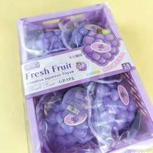 高品质时尚葡萄挤压玩具，减压小玩具，新款逼真水果挤压玩具，有效缓解压力 - 彩色 - 查看 3