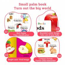 TEENYBABY 10pcs/Set My First Book Series - Children's Early Education Picture Books On Fruits, Animals, Food, Colors, Alphabet, Numbers, Great Gift For New Year - Multicolor - View 5