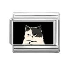 1pc DIY Photo Modular Bracelet With Animal Elements, Suitable As Party Gift For Friends/Couples, Applicable For Christmas, New Year, Halloween, Valentine's Day, Charming Design, Stainless Steel Jewelry, Local , Practical & Fashionable, Christmas Essential, Christmas Style, Christmas Decor, Party Outfit Guide, Christmas Gift Supplies, Christmas Home Atmosphere, Elegant Attire, Halloween Accessories, And Suitable For All Seasons, School, Gala, Graduation - M293922 - View 11