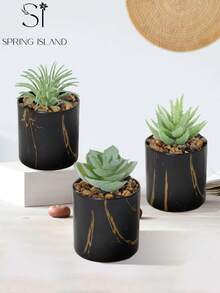 3盆仿真迷你多肉植物，绿色芦荟造型，黑色大理石花盆，PE材质，仿真多肉，桌面摆件，家居装饰礼品，生日毕业乔迁之喜，春夏装饰，复活节，送给植物爱好者的礼物，纪念品 - 彩色 - 查看 9