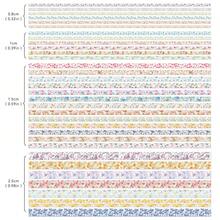 32 Rolls Washi Tape Set, Colored Floral Decorative Masking Tape, Artists Tapes For Junk Journal, Journaling, DIY Craft Projects, Scrapbooking Supplies Decor - Hoa nhiều màu sắc - Xem 2