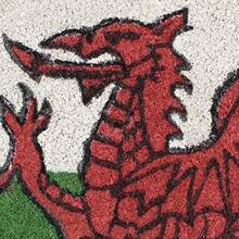 JVL Cymru Welsh Dragon Wales Welcome Coir Coconut Door Mat 30 X 60cm Home Caravan Office - Như Pic - Xem 5