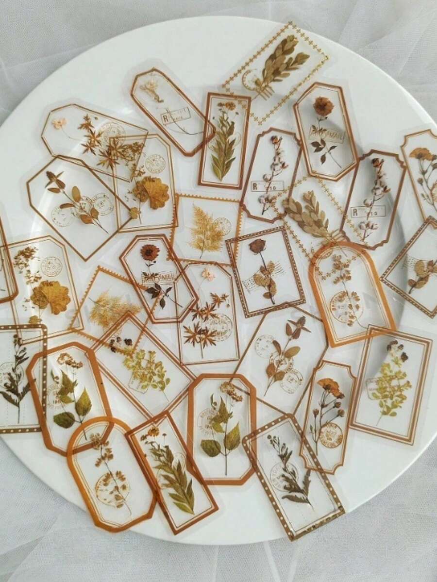 复古边框植物花卉装饰贴纸，DIY文具贴纸，卡通可爱创意趣味防水贴纸，糖果贴纸，手机贴纸，适用于剪贴簿、子弹笔记、笔记本、工艺品、水瓶、吉他、滑板、摩托车、头盔、行李箱、返校用品、冬季用品、感恩节、圣诞节、沙特国庆日、生日、节日、新年、情人节、送给男女朋友的礼物、成人剪贴簿用品 - 彩色 - 查看 1