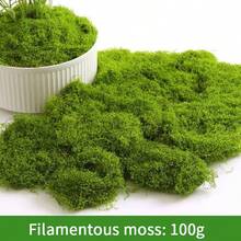 1pc 20g/50g/100g/200g/500g Artificial Moss, Suitable For Home Decor, Fake Moss Micro Landscape Arrangement, Lawn, Potted Plants - Green - View 3