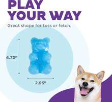 Outward Hound Gummiez Bear Dog Toy &Amp; Treat Stuffer, 4.7″ X 3″ Blue Raspberry-Scent Interactive Chew For Dogs, Promote Healthy Teeth, Gums &Amp; Mental Enrichment, Reduce Boredom &Amp; Support Dental Health - ColorA - 查看 4