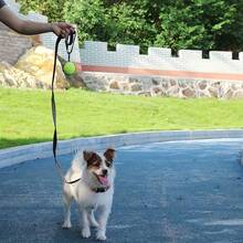 Silicone Dog Toy Ball Holder, Pet Tennis Ball Sleeve, Portable Outdoor Pet Toy Protective Cover