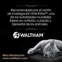 Sheba - Alimento Húmedo para Gato Adulto, Sabor Filetes De Atún Marinado 85g c/u. Paquete de 24 Unidades, SIn Colorantes ni Sabores Artificiales - Alimento Húmedo Para Gatos - Ver 6