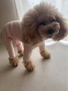 Multi-Color Solid Fleece Dog Clothes, 4-Leg Jumpsuit, Comfortable Casual Bodysuit Suitable For Small Dogs Like Teddy, Pomeranian, Yorkshire Terrier, Maltese, All Seasons - Pink - View 3