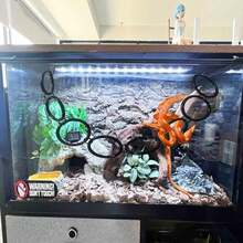 Reptile Climbing Ring, Ball Python Climbing Chain Toy, Glass Container Cage Decor Accessories Suitable For Corn Snake, Hognose Snake, Bearded Dragon, Lizard, Chameleon, Parrot - Multicolor - View 5
