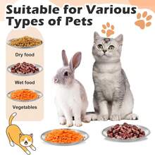 1个宠物猫狗碗，宠物喂食器，浅口设计，适合猫咪胡须，适用于猫咪和幼犬的食物和水碗 - 均碼 - 查看 6