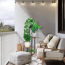 6 Tier Wood Tall Plant Stand Metal Rack Indoor, Multiple Flower Pot Holder Shelves Corner Rack, Planter Shelf Display Rack Storage Organizer Patio Living Room Balcony GardenWhite Oak - 4 級,黑色 - 查看 8