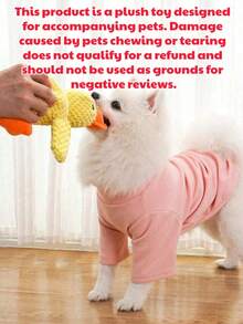 1个可爱会叫的毛绒鸭玩偶 - 带声音的宠物玩偶，情感安慰玩偶，柔软舒缓的通用玩偶，适合猫狗 | 狗狗自娱自乐设备，缓解无聊，互动训练，清洁牙齿，陪伴娱乐，适合所有小型和中型犬种 | 宠物主人推荐的爱宠