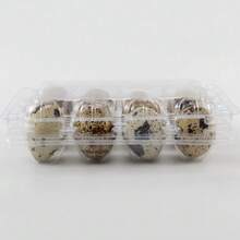 Pack Of 100 Egg Box Plastic Boxes Cartons Flat Top Tray 12-Compartment For Quail - Clear - View 5
