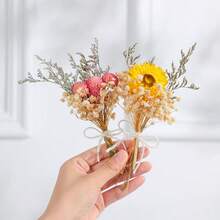 Bohemian Style Mini Dried Flower Bouquet Set | Small Vase Floral Arrangement | Desktop Decor | Mailbox Gift - Multicolor - View 1