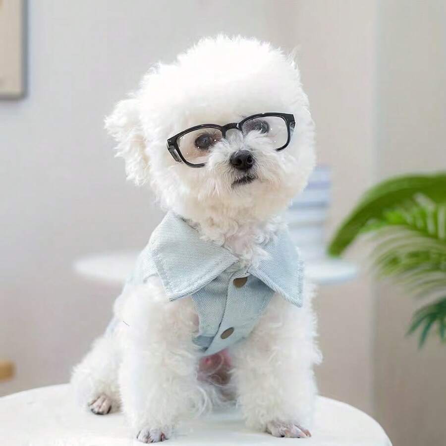 1 Paar Haustier Sonnenbrillen, geeignet für kleine Hunde, Katzen und Kaninchen, modisches Fotorequisit mit UV-Schutz und windabweisendem Design, stilvolle Haustier Sonnenbrillen, cooles Outdoor-Fotografie-Zubehör für Haustiere, Haustier Dekor Puppe Ornament - Verschiedenfarbig - Übersicht 1