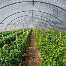 3-4mm Double Aluminum Thermal Insulation Panel – Heat & Cold Protection For Home