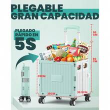 Portable Shopping Carts