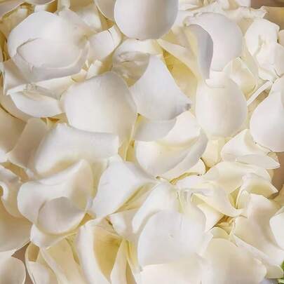 10/30/60g True White Dried Rose Petals | Eternal Rose Petals, Suitable For Valentine's Day Gifts, Wedding Party Decorations, Flower Girls, Centerpieces, Bridal Showers, And Confetti. - FORTUETENAL FLOWERS