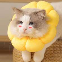 Adjustable Sunflower Recovery Collar For Cats: Soft Cone For Post-Operative Recovery, Anti-Lick Design, Cute Sunflower Shape, Suitable For XS Cats (1.1-4.4 Lb) - 黃色 - 查看 4
