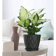 Inch Plant Pots 5 Pack, Flower Planters With Drainage Holes And Trays, Plastic Pots Indoor Outdoor Plants, White - 黑色 + 7+6.5+6+5.5+5+4.5+4英寸 - 查看 4