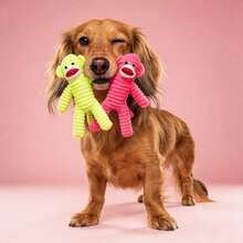 Hollypet 毛绒狗狗发声玩具，填充犰狳狗狗咀嚼玩具，耐用柔软的宠物玩具，有助于清洁牙齿，互动训练和缓解无聊的狗狗玩具，适合小型、中型、大型所有品种的狗狗