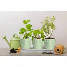 Inch Plant Pots 5 Pack, Flower Planters With Drainage Holes And Trays, Plastic Pots Indoor Outdoor Plants, White - 綠色 + 4英寸 - 查看 5