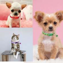 宠物项圈 格子蝴蝶结猫项圈 带铃铛 可调节项圈 幼犬幼猫可爱图案宠物用品 - 彩色 - 查看 5