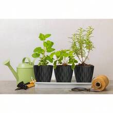 Inch Plant Pots 5 Pack, Flower Planters With Drainage Holes And Trays, Plastic Pots Indoor Outdoor Plants, White - 黑色 + 6英寸 - 查看 5