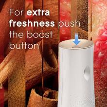 Automatic Spray Refill 2 Ct, Cinnamon, 12.4 Oz. Total, Freshener - 預設 - 查看 6