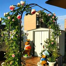 25-Year New Arrival - 1 Black Easy-To-Install Metal Gazette, Stand, Industrial Hardware, Hooks, Garden Arch, Heavy-Duty Steel Frame Supported Arch, Available In Wide Or High Arch Options To Suit Personal Preferences, Suitable For Climbing Plants, Roses, Vegetables, Balloon Arches, Outdoor Garden Decoration, Ideal For Valentine's Day. - Black - View 1