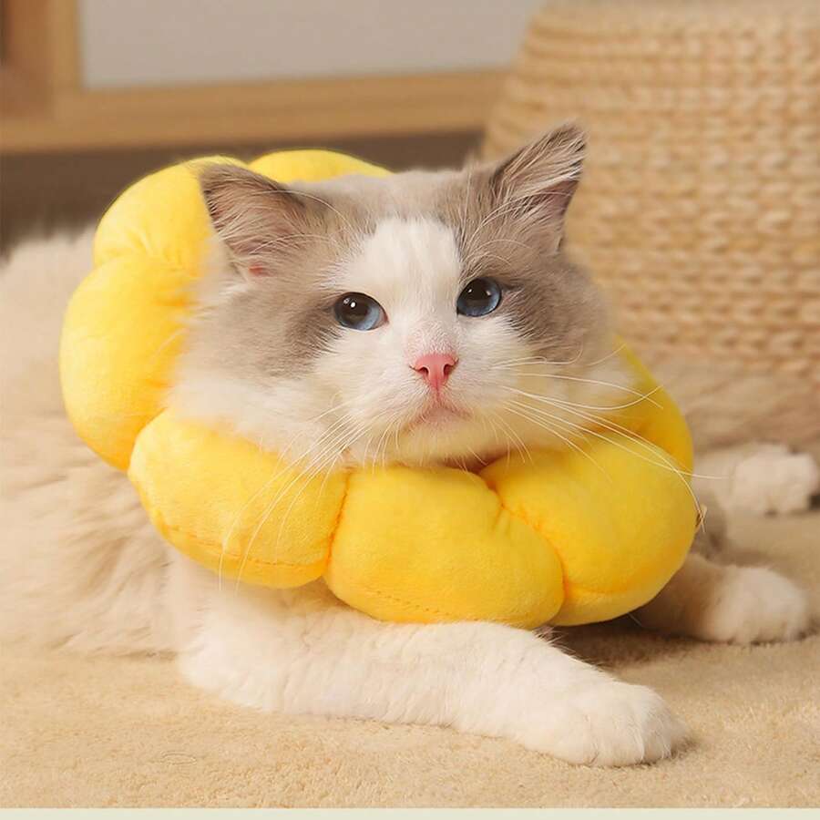 Adjustable Sunflower Recovery Collar For Cats: Soft Cone For Post-Operative Recovery, Anti-Lick Design, Cute Sunflower Shape, Suitable For XS Cats (1.1-4.4 Lb) - 黃色 - 查看 1