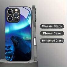 Diseño de Cielo Estrellado Aurora Compatible con iPhone 16 Pro Max/16 Pro/16 Plus, 15 Pro Max/15 Pro/15 Plus, 14 Pro Max/14 Plus/14 Pro/14, 13 Pro Max/13 Pro/13, 12 Pro Max/1639 Pro.Esta funda para teléfono cuenta con vidrio mate resistente a caídas y una cubierta suave a prueba de golpes. - Colores mixtos - Ver 2