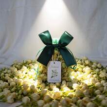 Jasmine Fragrance Sachet, Fresh After Rain, Used For Deodorizing And Scenting, Can Be Placed In Car, Bag, Closet