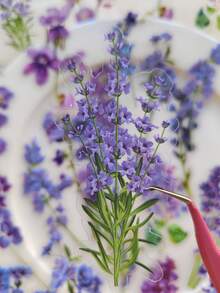 40张/包 水彩花卉装饰PET贴纸，DIY剪贴簿 - 均碼 - 查看 6