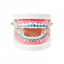 ALQD Brackets Falsos Para Dientes, Braces Kit With Brackets & Wire Dental Students & Orthodontic Practice, Brackets Para Dientes Dental Students To Practice (Light Blue) - 藍色 - 查看 3