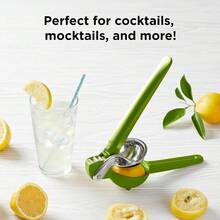 mhjChef'n FreshForce Citrus Juicer Limesleeping Bags - 219361659 - Ver 7