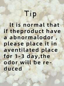 110支白色迷你干花花束 - 非常适合DIY装饰、贺卡、婚礼、家居和办公室装饰