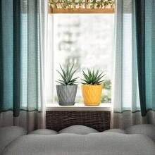 Inch Plant Pots 5 Pack, Flower Planters With Drainage Holes And Trays, Plastic Pots Indoor Outdoor Plants, White - 橙色+灰色+白色+5英寸 - 查看 5