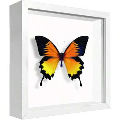 12x12 Shadow Box Frame With Letter Stickers, Graduation Memories Frame, Display Case Box Memorabilia, Items, Wedding Memories, Crafts, Tickets And Photos White, 12x12