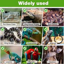 Reptile Climbing Ring, Ball Python Climbing Chain Toy, Glass Container Cage Decor Accessories Suitable For Corn Snake, Hognose Snake, Bearded Dragon, Lizard, Chameleon, Parrot - Multicolor - View 7
