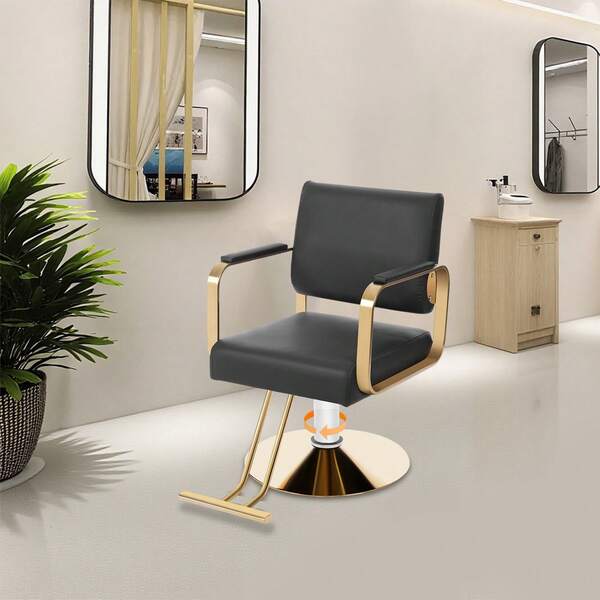 SENDERPICK Salon Barber Chair With Hydraulic Pump, Hair Salon Chair For Hair Stylist, 360 Degrees Rolling Swivel Spa Beauty Makeup Chair, Styling Braiding Hairdresser Chair For Barber Shop, Dressing Room (Black Leather With Gold Stand)Hair Chair For Hair Stylist For Home,Salon Chairs,Salon Styling Chair,Hair Styling Chair,Salon Chairs For Hair Stylist ,Beauty Salon Equipment