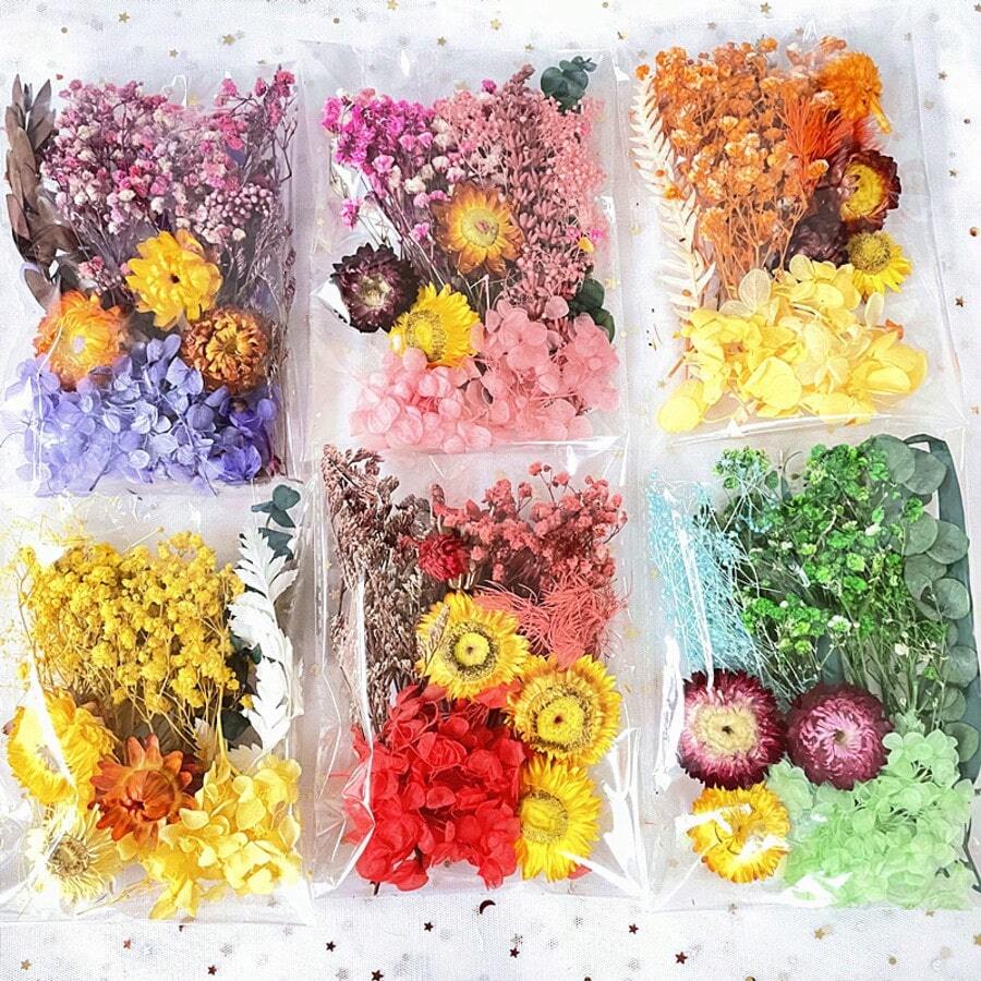 Assorted Dried Flowers Set - Multi-Purpose Preserved Floral, Suitable For DIY Crafts, Photo Frame Decor, Wreaths, Boutonnieres, Wedding Accessories And Home Decor - No Electricity Needed, No Feathers, Perfect For Christmas, Halloween, Easter And Thanksgiving - Multicolor - View 1