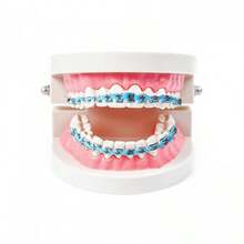 ALQD Brackets Falsos Para Dientes, Braces Kit With Brackets & Wire Dental Students & Orthodontic Practice, Brackets Para Dientes Dental Students To Practice (Light Blue) - 藍色 - 查看 10