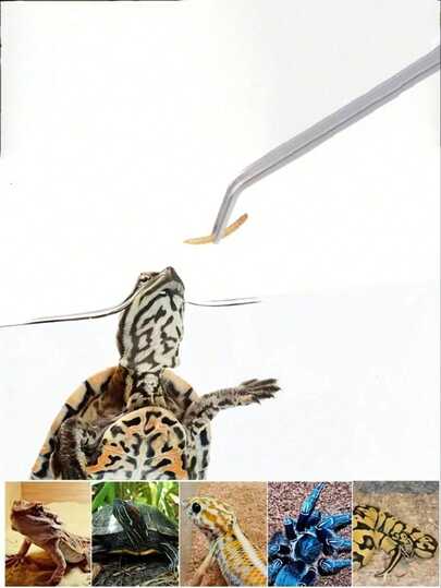 1pc/2pcs Pet Stainless Steel Aquarium Tweezers Set - Multifunctional For Fish, Insects And Plant Care, And Reliable For Daily Use, Includes Feeding Tongs, Curved Tweezers And Straight Tweezers, Suitable For Aquascaping, Catching Insects, Reptiles, Lizards, Turtles, And Fish Feeding