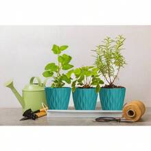 Inch Plant Pots 5 Pack, Flower Planters With Drainage Holes And Trays, Plastic Pots Indoor Outdoor Plants, White - 藍綠色 + 6英寸 - 查看 5