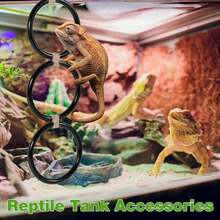 Reptile Climbing Ring, Ball Python Climbing Chain Toy, Glass Container Cage Decor Accessories Suitable For Corn Snake, Hognose Snake, Bearded Dragon, Lizard, Chameleon, Parrot - Multicolor - View 2