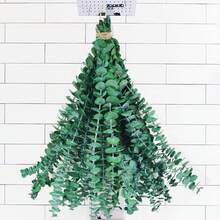 10Pcs Dried Eucalyptus Stems For Shower 17" Real Natural Hanging Eucalyptus Stems, Real Fresh Leaves Branches For Vase Filler, Spring Valentine's Day Mother's Day Wedding Decor, Bathroom Decor, Home Decor, Dried Flowers Arrangement Decor - 彩色 - 查看 1