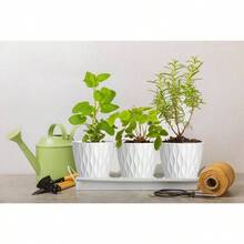 Inch Plant Pots 5 Pack, Flower Planters With Drainage Holes And Trays, Plastic Pots Indoor Outdoor Plants, White - 白色 + 6英寸 - 查看 5