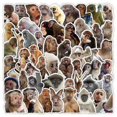 50PCS Funny Abstract Monkey Meme Animal Graffiti Creative Stickers DIY Decorative Decals Phone Case Laptop Diary Guitar Cups Stationery Waterproof Stickers